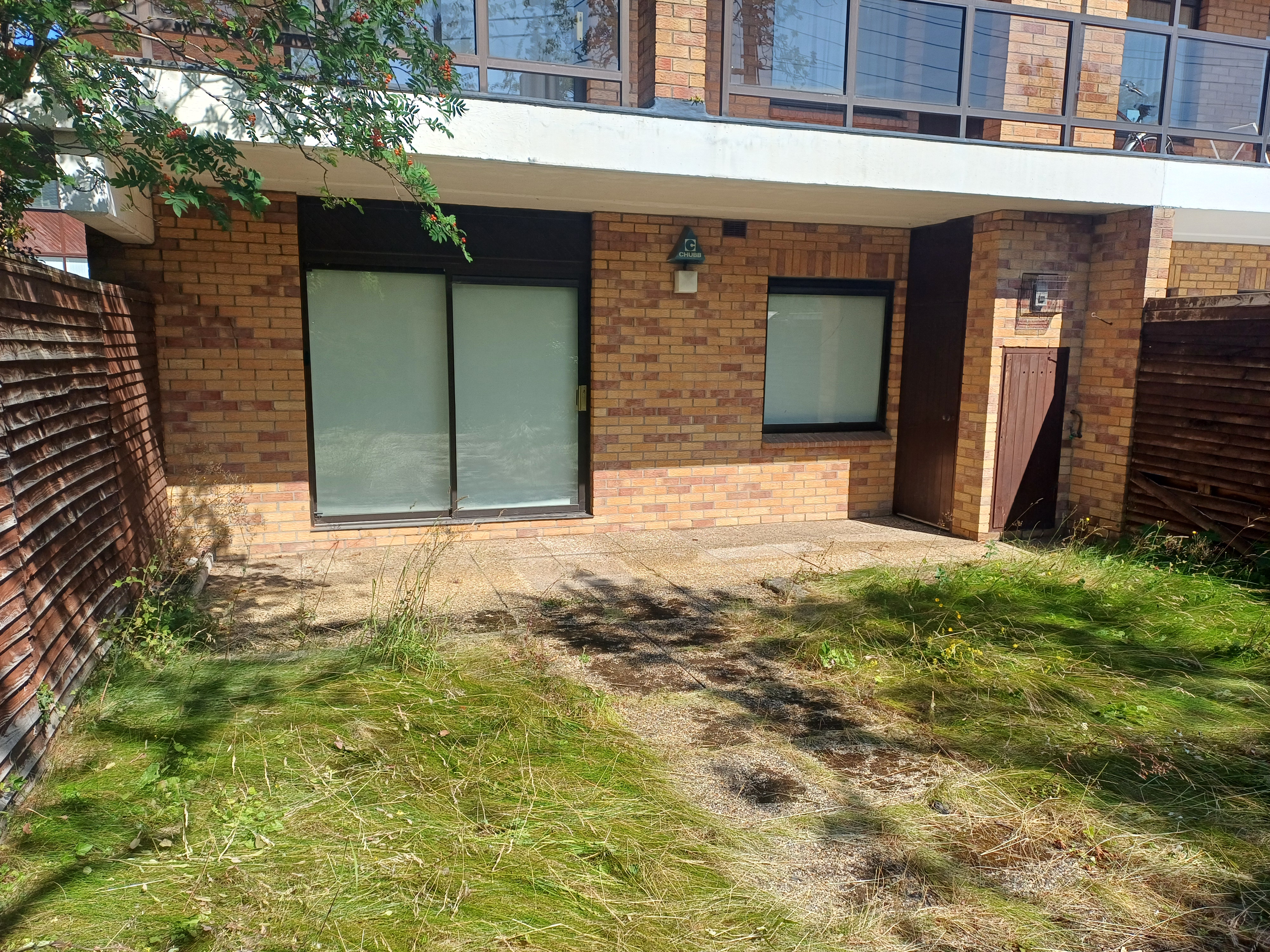 An overgrown garden and shed exterior before clearance